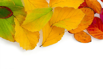 Naklejka na ściany i meble colorful autumn leaves as a border background isolated on white