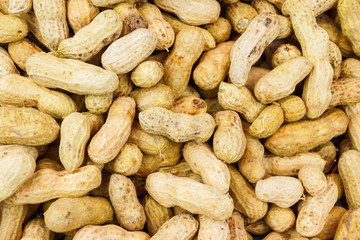 Boiled peanuts in various sizes