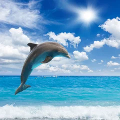 Zelfklevend Fotobehang springende dolfijnen © neirfy