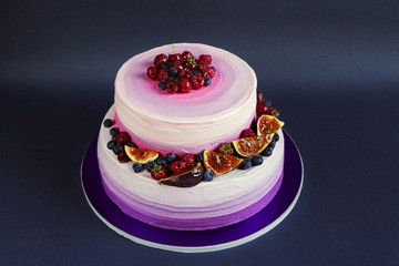 Obraz na płótnie Canvas Two tiered purple cake with fruit on dark background