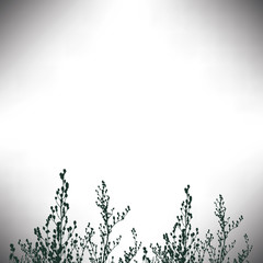 Silhouette of vegetation against a background