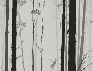 Fototapeta premium silhouette of the forest with deer 2
