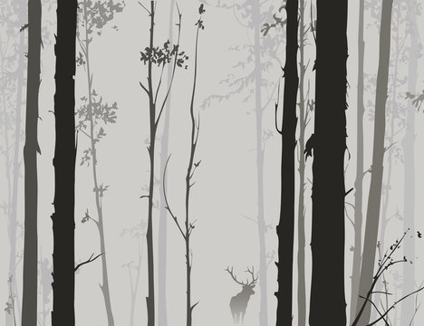 silhouette of the forest with deer 2