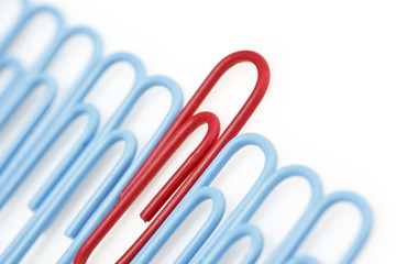Red paper clip rising above blue paper clips. Conceptual.