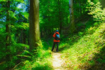 Fototapeta premium Man wearing red raincoat walking on a path in mountain forest taking a photo. Vintage effect.