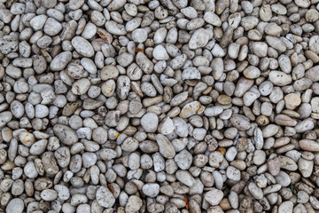 Beach pebble background