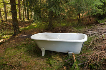 a white bath tub in the forest
