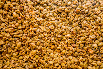 cofee beans closeup