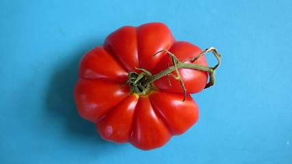 Heirloom tomato on blue