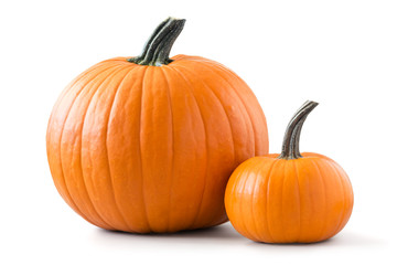 Two pumpkins isolated on white background - obrazy, fototapety, plakaty