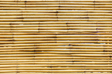 bamboo texture or background.