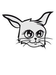 sweet cute pretty kitten face