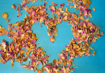 Heart of dried petals of tea rose on blue background