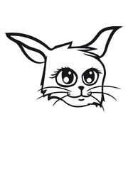 sweet cute pretty kitten face