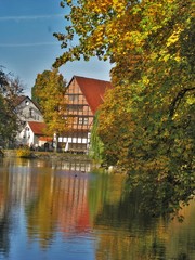 Fototapeta premium Herbst in Detmold, mit dem schönen Fachwerkhaus