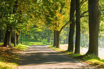 Alley in the autumn park