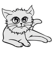 sweet lying pretty cat