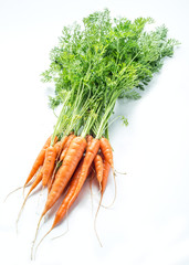 Carrots with greens on the white background.