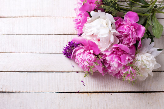 Background with fresh  pink and white peonies flowers