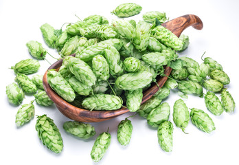 Hop cones in the wooden bowl.