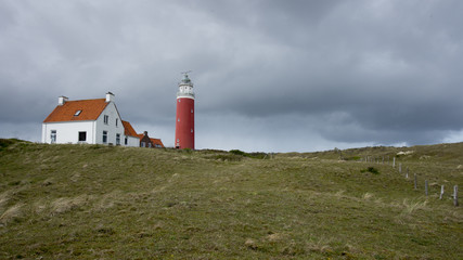 texel