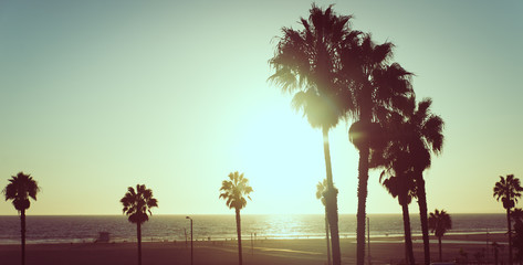 sunset view with palms in Santa monica, California - obrazy, fototapety, plakaty