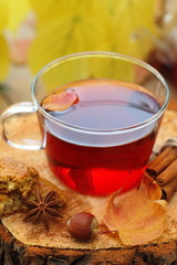 Autumn still life with cup of hot tea on a natural background