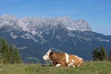 Fototapeta na wymiar Wilder Kaiser, Tirol, Österreich