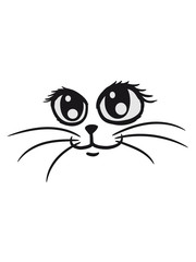 Fototapeta premium cute sweet little baby kitten face