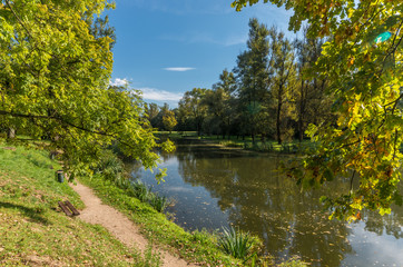 Fototapeta na wymiar Pond in the park, sunny afternoon