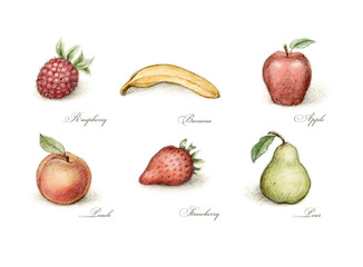 six drawings of fruits