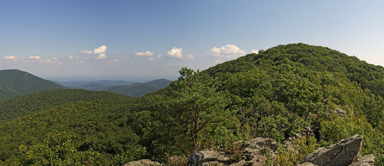 Bearfence Viewpoint Panorama, Shenandoah National Park