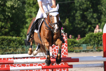 Horse jump