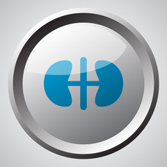Obraz premium Web button with blue Kidneys icon