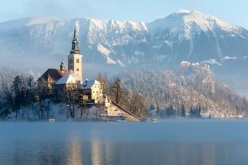  Church on lake Bled with boats arriving to the stairs and castle and snowy mountains in the background © kavcicm
