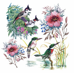 Fototapeta na wymiar Seamless pattern with summer herbs and birds. Watercolor