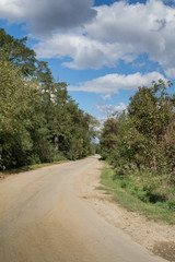 Fototapeta na wymiar Nature and a Country Road