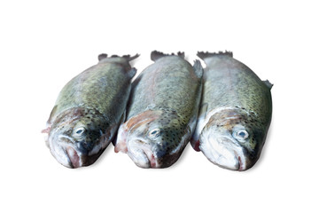 fresh trout on white background