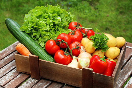 Gemüsekiste auf einem Tisch im Garten