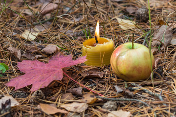a burning candle with  apple and red leaves