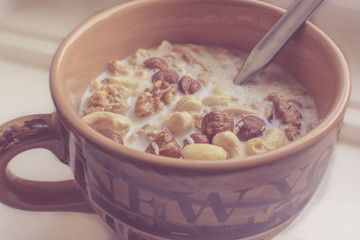 Frühstück Müsli mit Nüssen und Milch in einer Schüssel