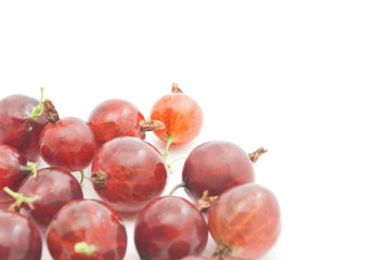 red gooseberries on white