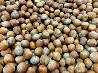 Nocciole frutta secca