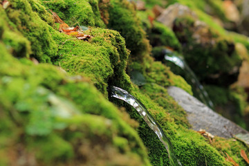 Источник воды