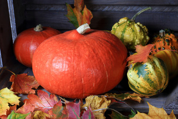 Halloween2