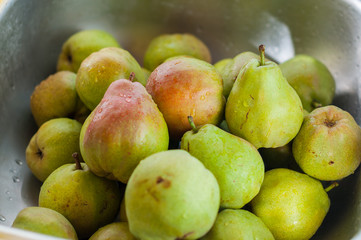 Fruit background. Fresh organic pears on old wood. Pear autumn