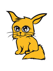 kitten cute sweet little baby cat