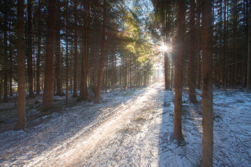 erster Schnee im Spätherbst