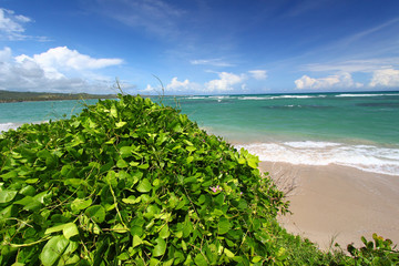 Anse de Sables Beach in Saint Lucia