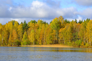 Autumn forest on the lake.